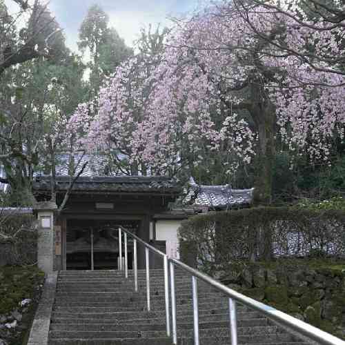وحید حسن زاده فاطی فاطی دل نگرونم فاطی